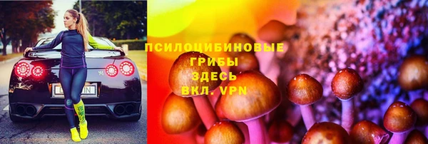 мдпв Верхний Тагил