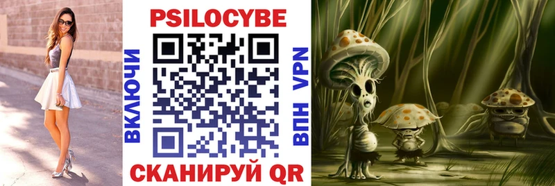 Псилоцибиновые грибы Psilocybe  Рузаевка 